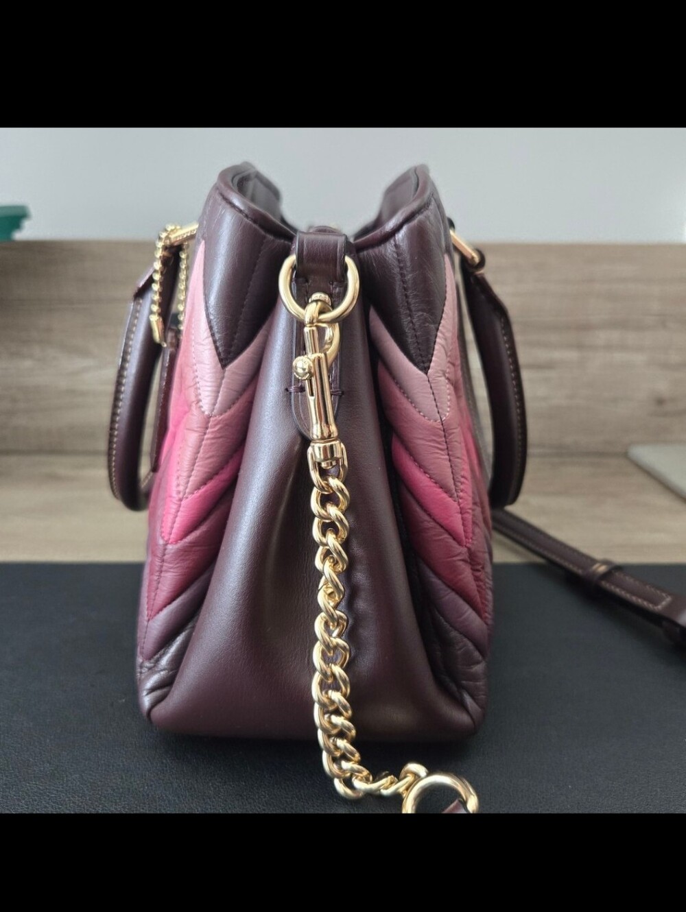 COACH MINI SAGE OMBRE' CARRYALL - Picture 3 of 11